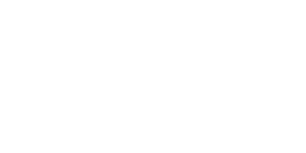 에볼루션 게이밍 logo