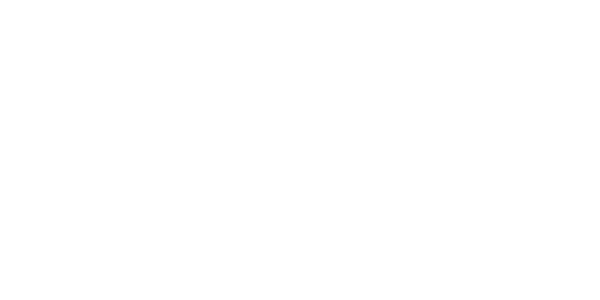 플레이텍 logo